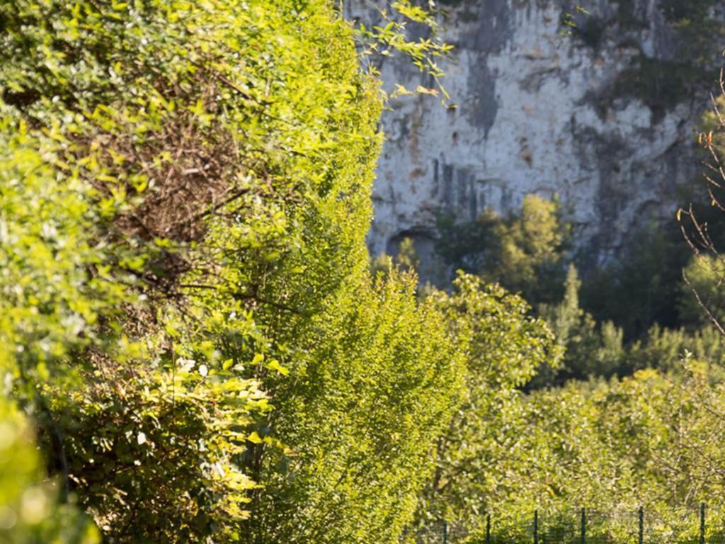 Le Moulin De La Maison Des Templiers Villa Saint-Cernin-de-Larche Bagian luar foto